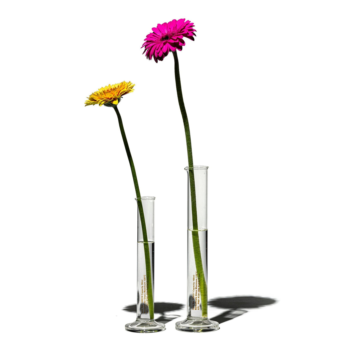 Puebco Single Flower Vase / 100ml — view 2