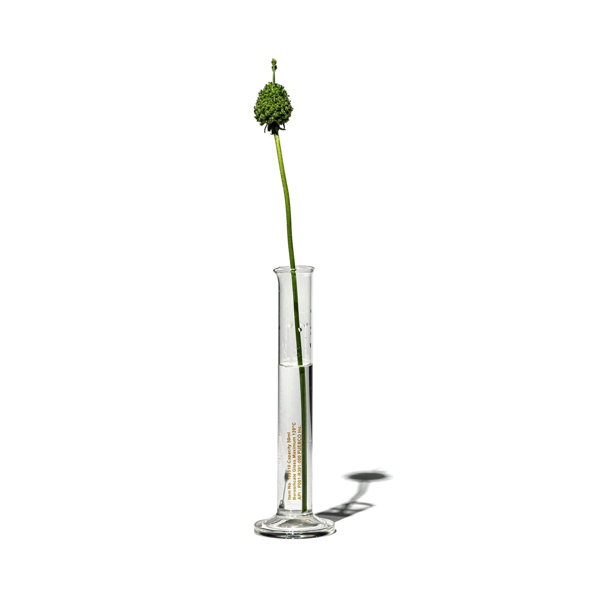 Puebco Single Flower Vase / 50ml — front view