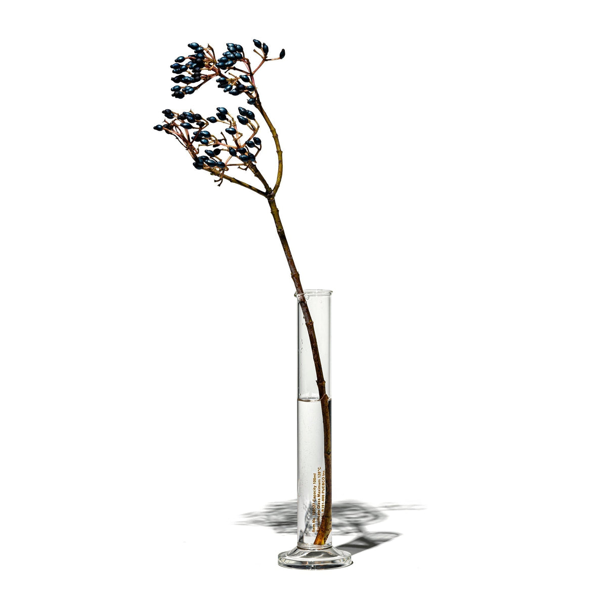 Puebco Single Flower Vase / 100ml — view 3