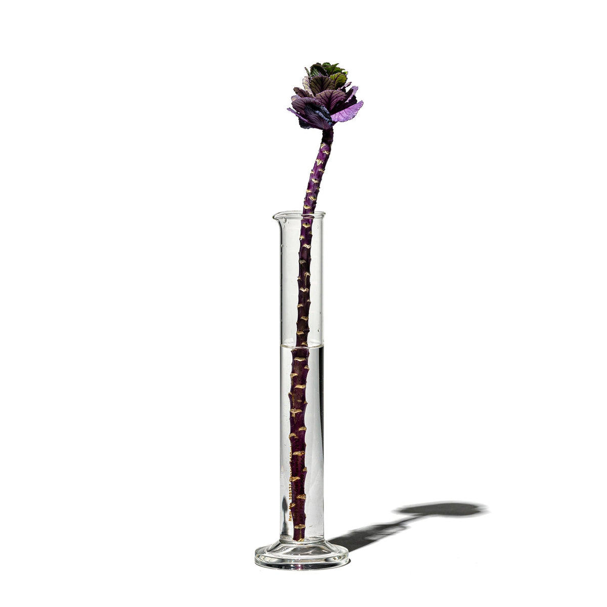 Puebco Single Flower Vase / 100ml — front view