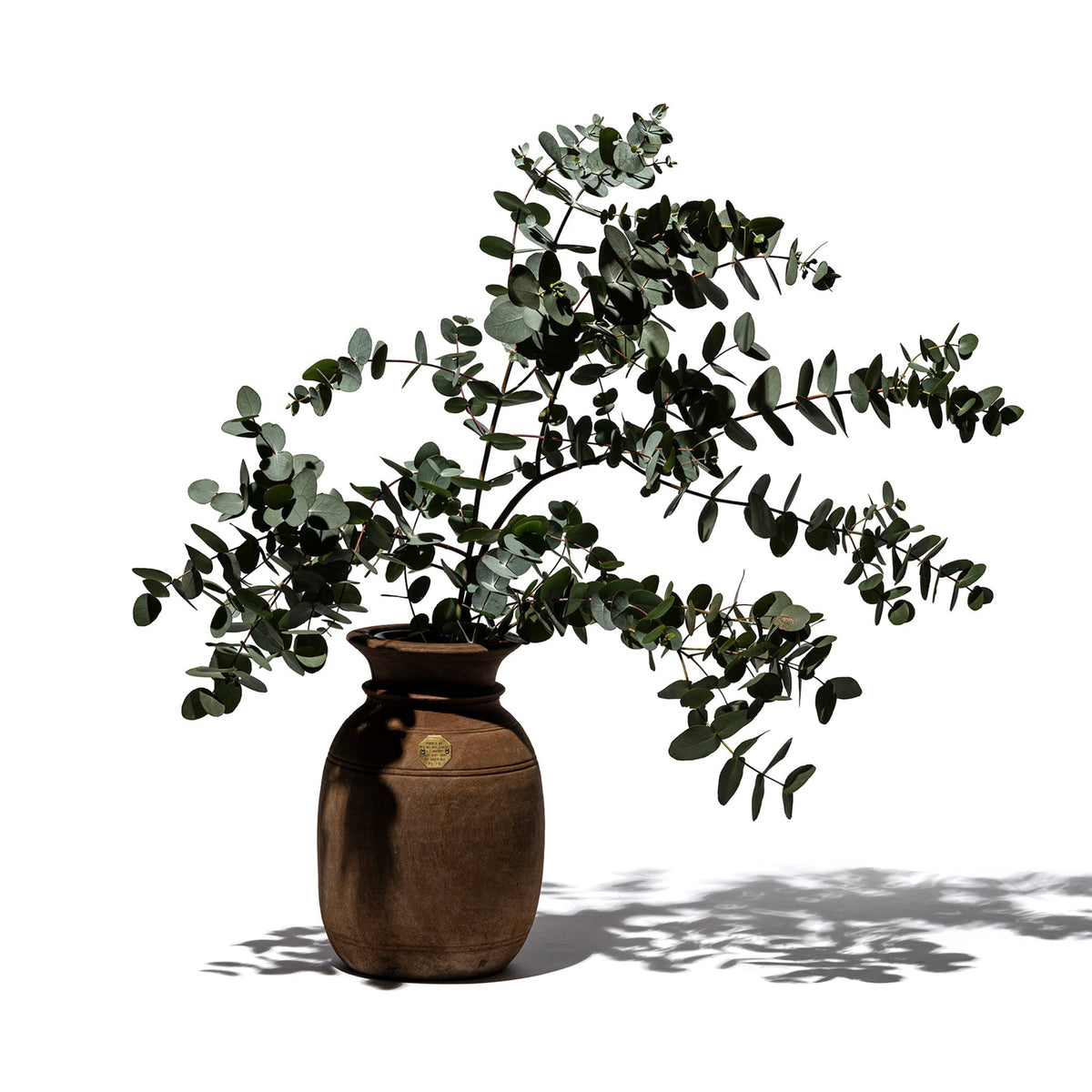 Puebco Vintage Wooden Pot W/Glass Cylinder — front view