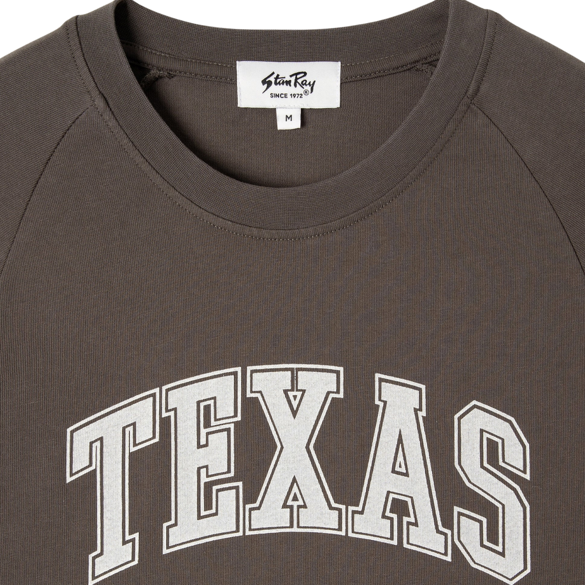 Stan Ray Raglan Stripe T-Shirt — Washed Black — view 4