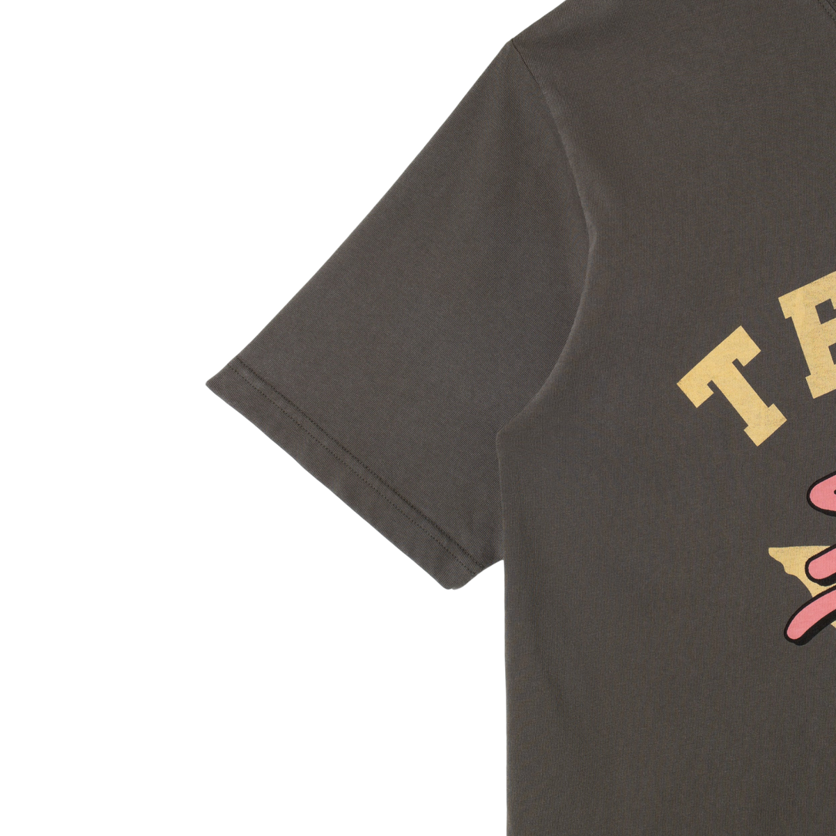 Stan Ray Solid State T-Shirt — Washed Black — view 4