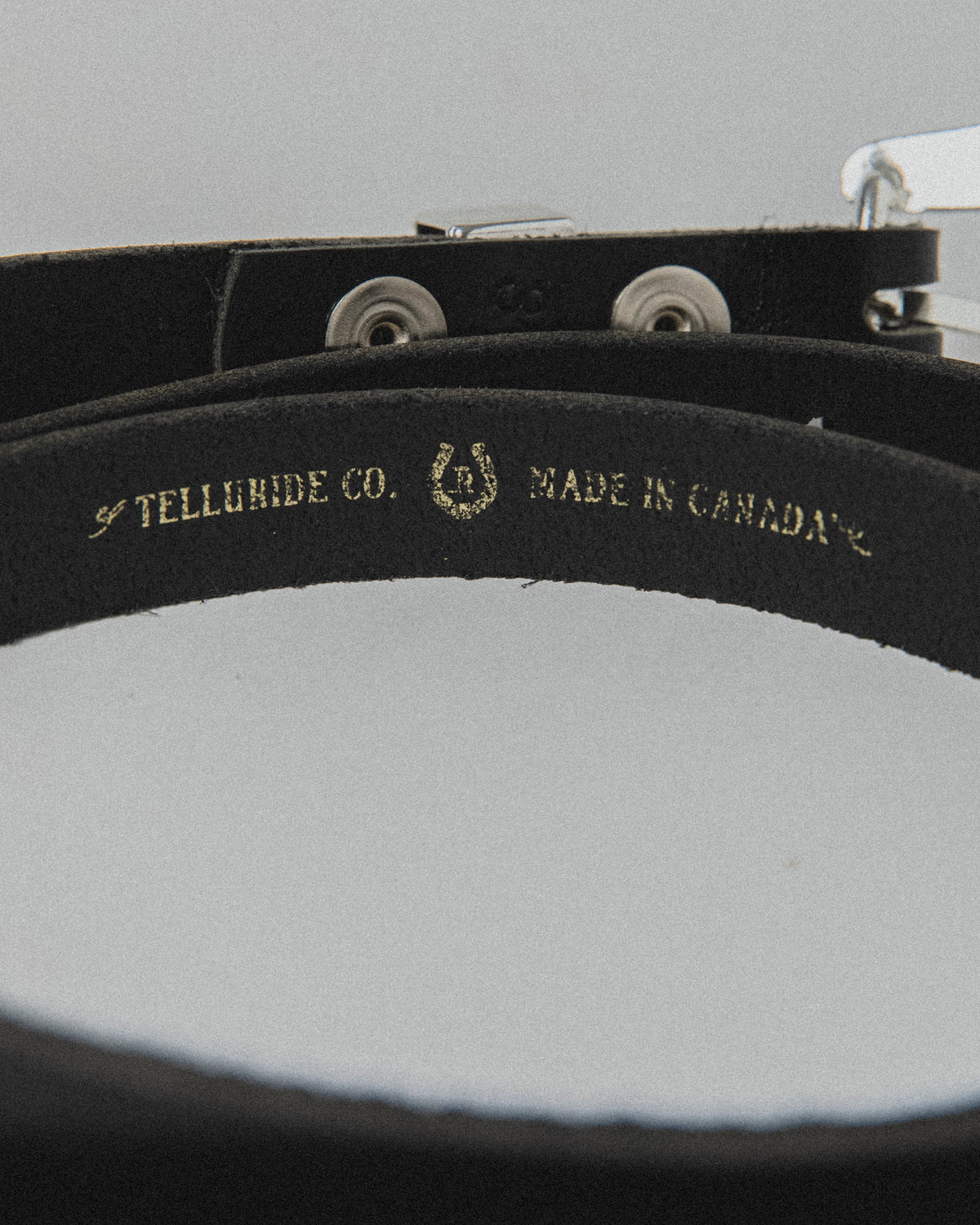 Telluride Saint Denis Western Belt 19mm — Frontier — view 5