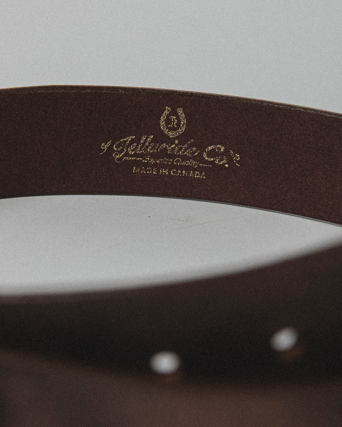 Telluride Buffalo Bill Totem Belt 40mm — Stampede — view 4