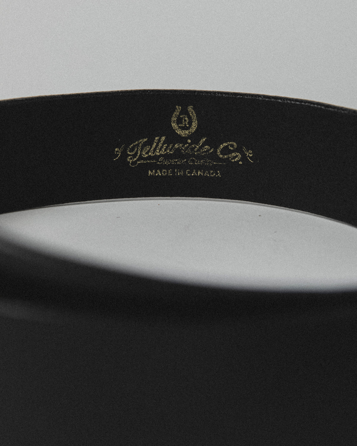 Telluride Buffalo Bill Totem Belt 40mm — Frontier — view 4