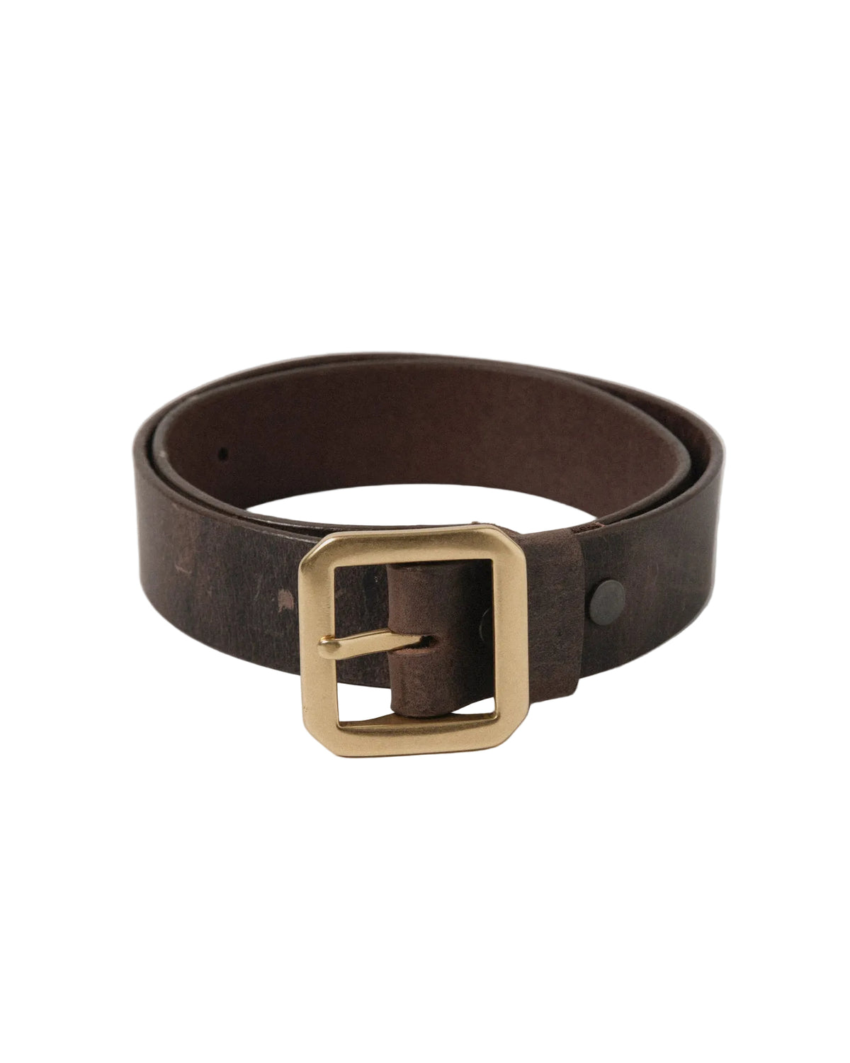 Telluride Buffalo Bill Anvil Belt 40mm — Stampede — front view