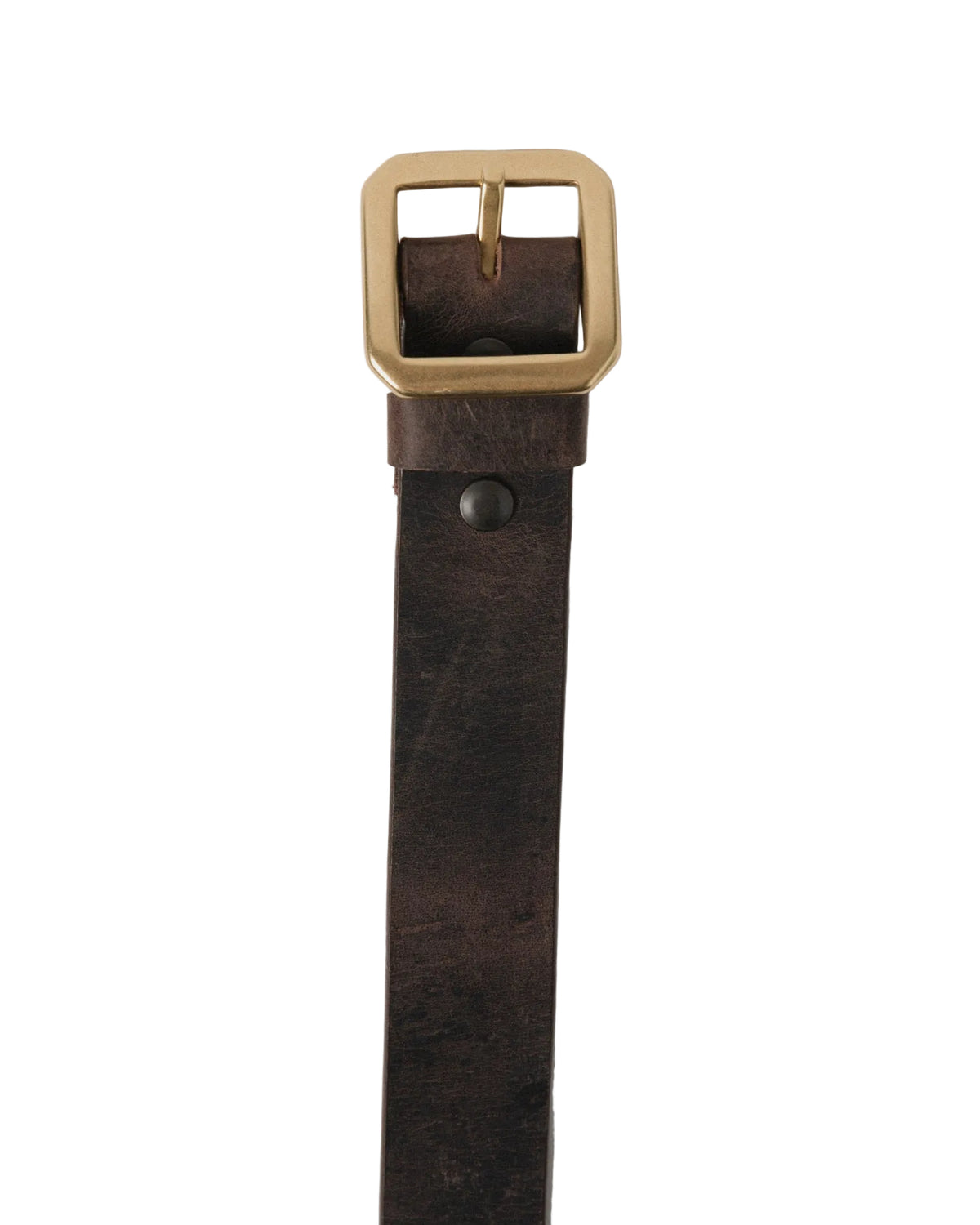 Telluride Buffalo Bill Anvil Belt 40mm — Stampede — view 2