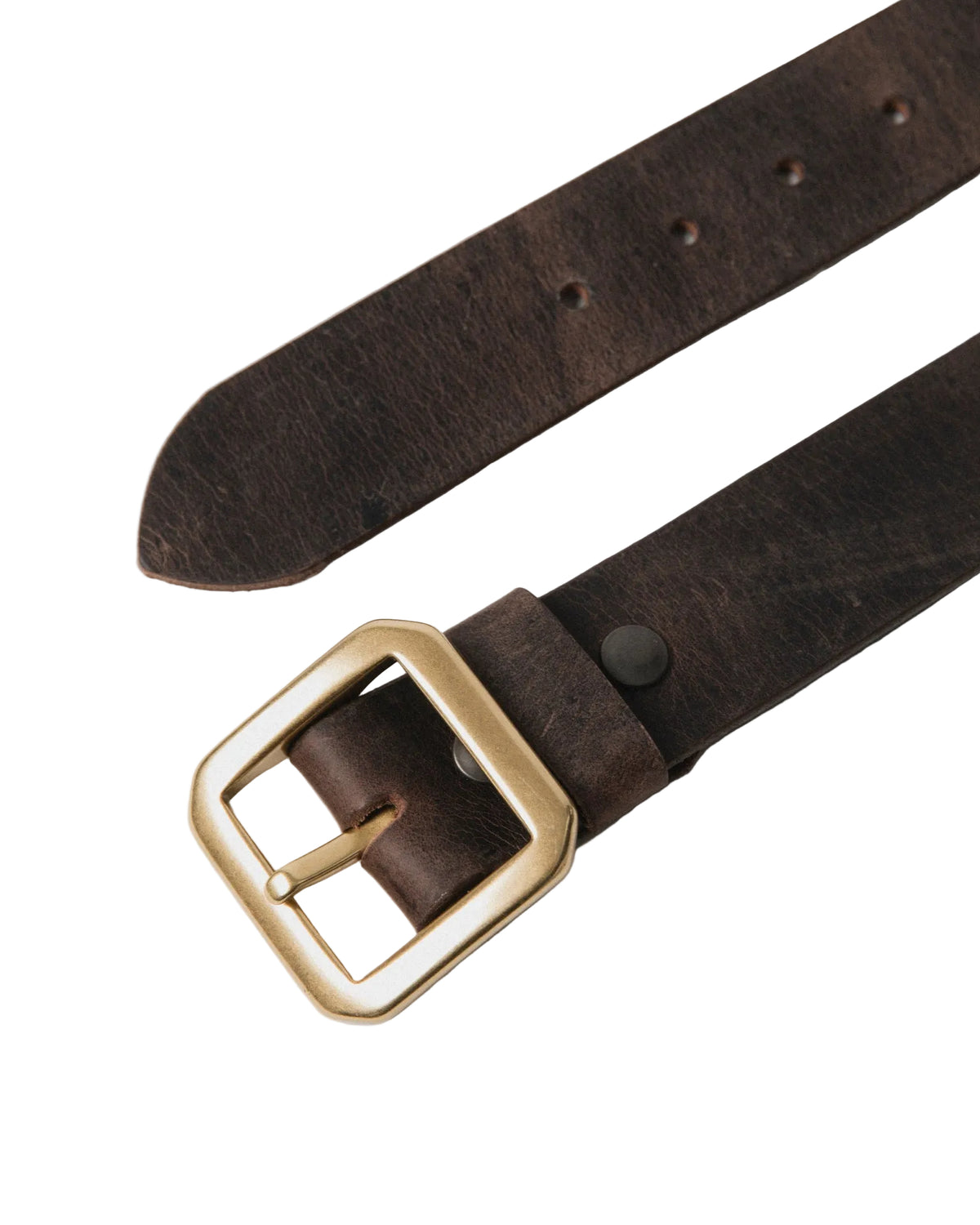 Telluride Buffalo Bill Anvil Belt 40mm — Stampede — view 3