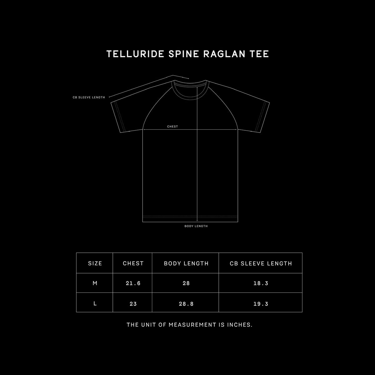 TELLURIDE SPINE RAGLAN TEE ST. MARY - GREY/NAVY