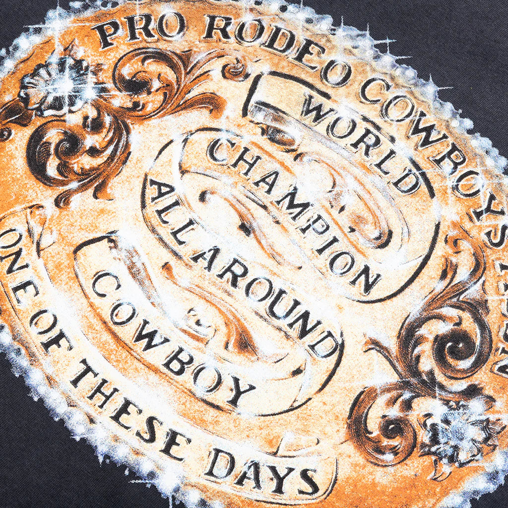 One Of These Days World Champions Tee — Sun Faded Black — view 3